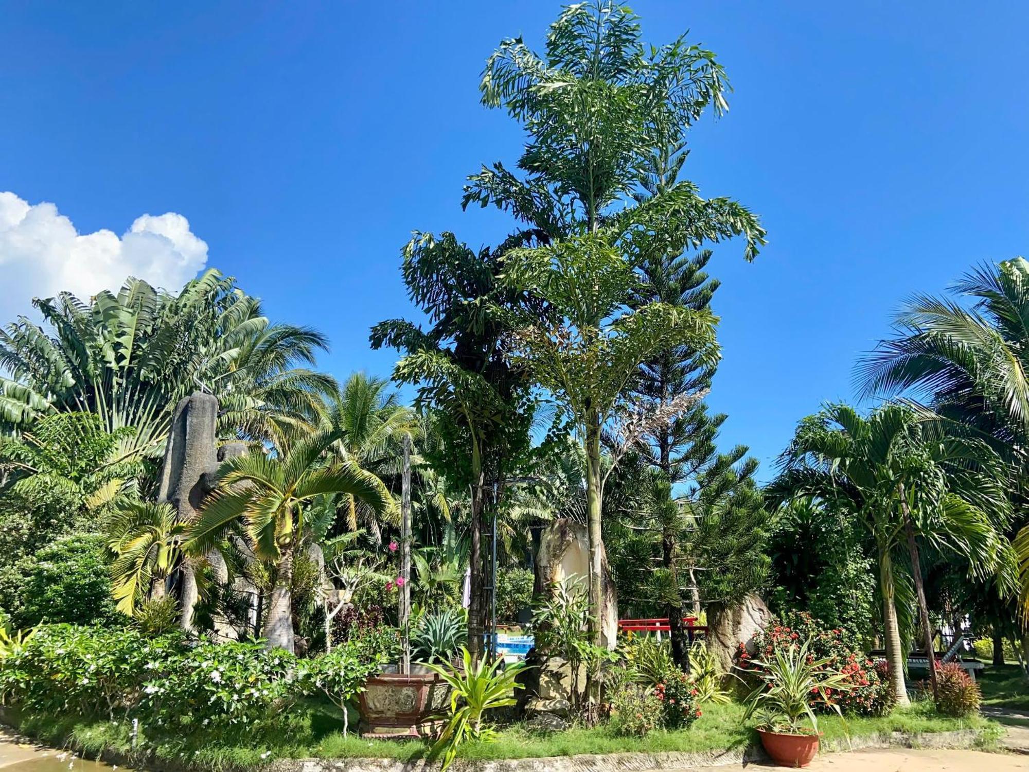 Y Nghia Bungalow Ong Lang Фукуок Екстер'єр фото